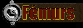 Fémurs