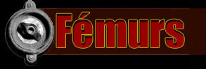 Fémurs