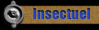 Insectuel