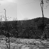rambarde pergola
